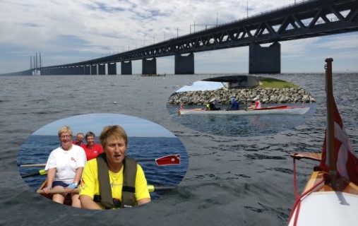 Saltholrundt 1 2019